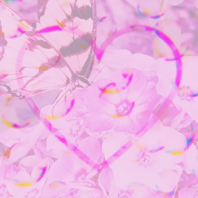 Cover art for Self-Compassion in My Heart: a swallowtail butterfly over pale pink phlox blossoms, with a bright pink heart drawn across them.